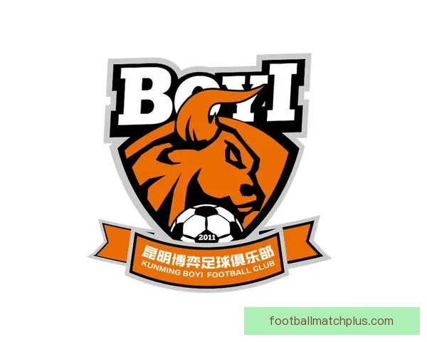 北京足球联赛完整赛程安排及各轮对阵时间详细指南