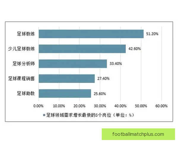 北京市足球联赛全景解析与青年足球发展趋势研究